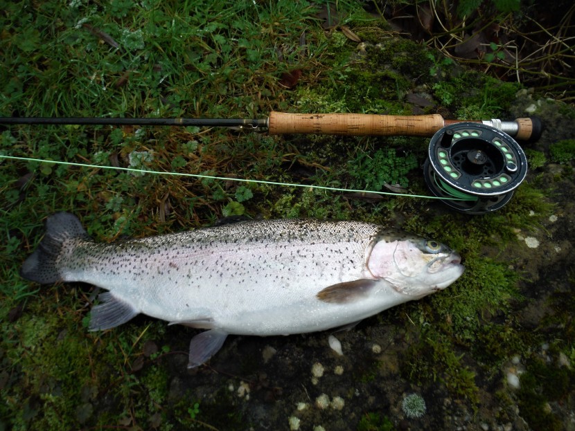 This rainbow was lying in a flooding inlet stream